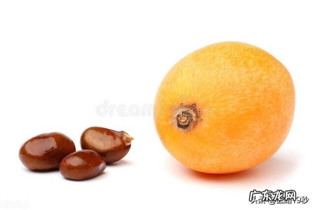 枇杷性温还是性寒 枇杷是凉性的还是热性的枇杷