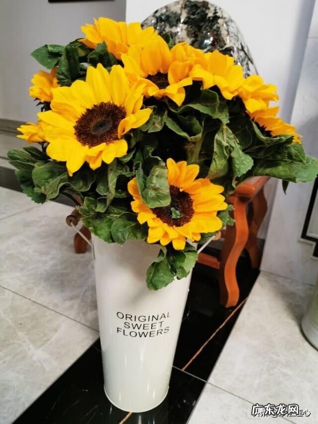 向日葵在风水中怎么说 向日葵摆放风水