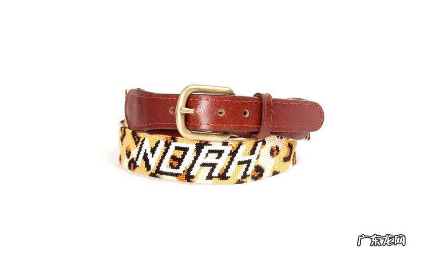 命运2隐藏徽章 海盗徽章图片