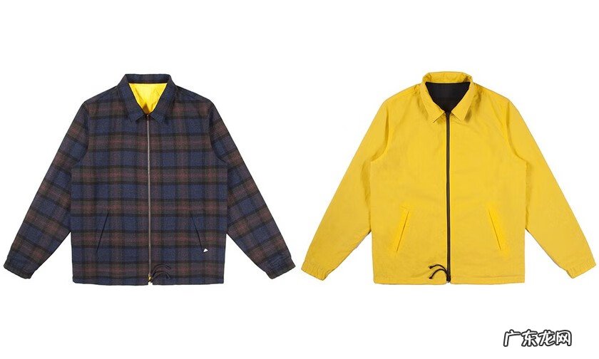 命运2隐藏徽章 海盗徽章图片