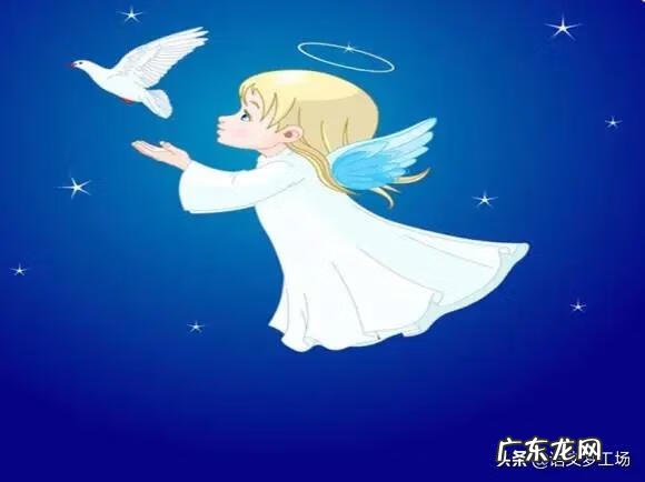 我爱公主奶茶 我爱奶茶作文