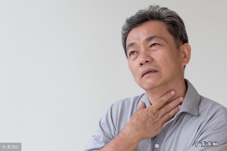 橄榄果的功效与作用禁忌 水果橄榄有什么好处