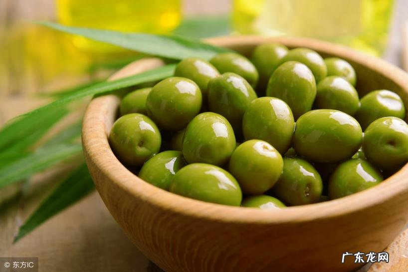 橄榄果的功效与作用禁忌 水果橄榄有什么好处