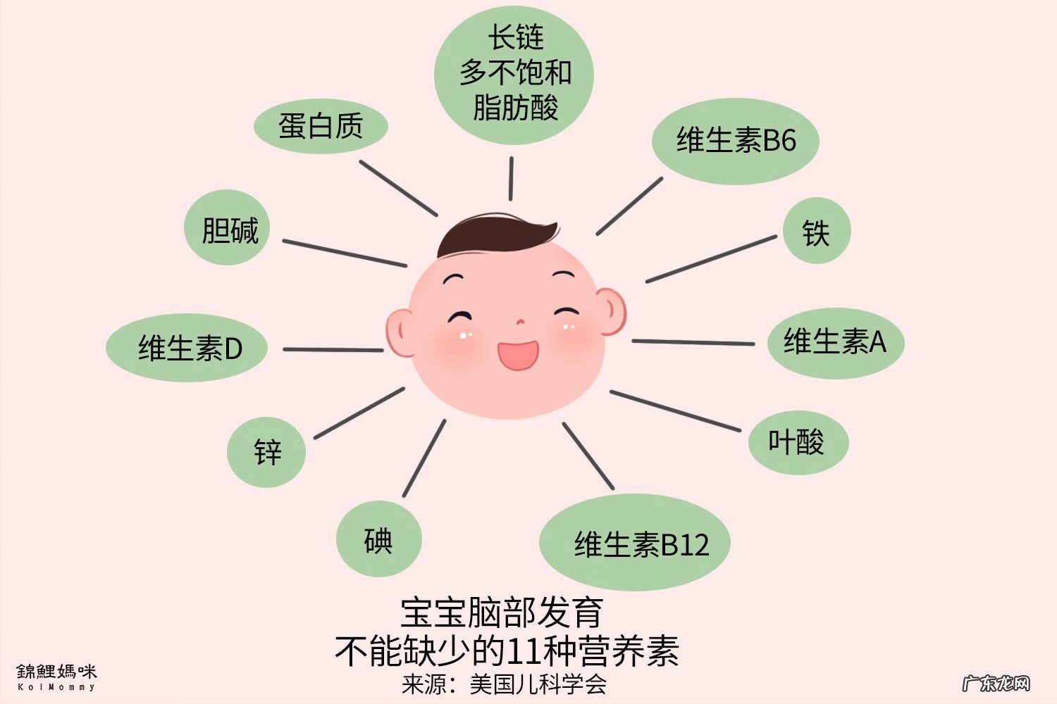 儿童大脑发育过程 孩子大脑发育最快的阶段