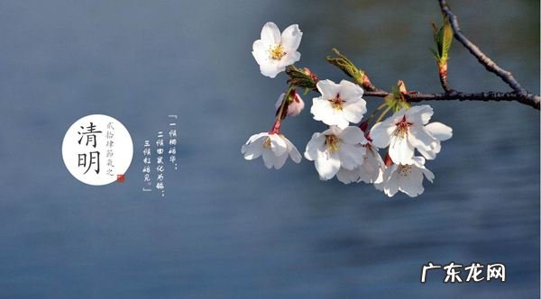 清明古诗杜牧翻译 《清明》古诗杜牧原文