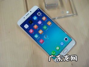 oppor9s屏幕黑屏 oppor9s经常黑屏