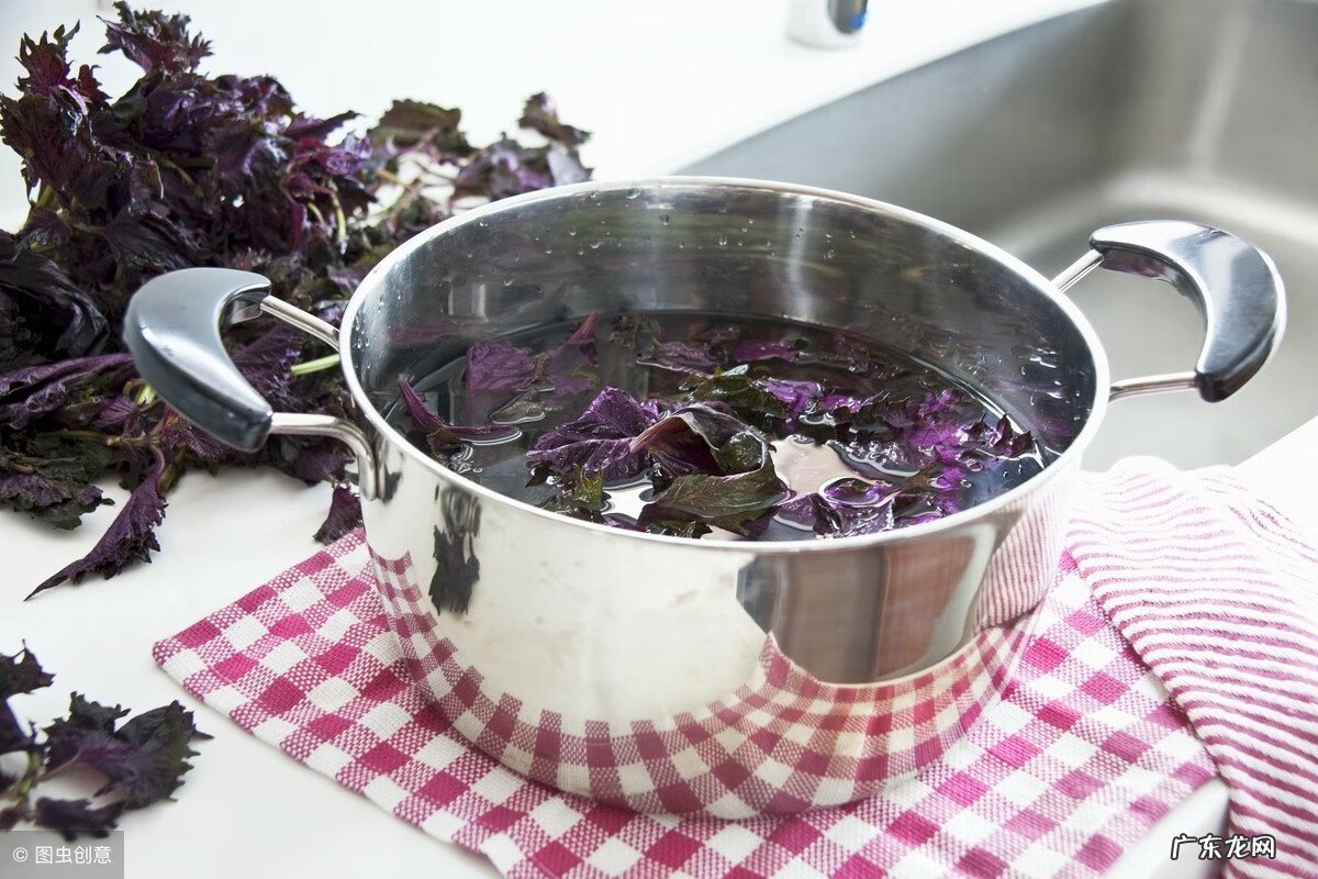 紫苏是什么 紫苏梗