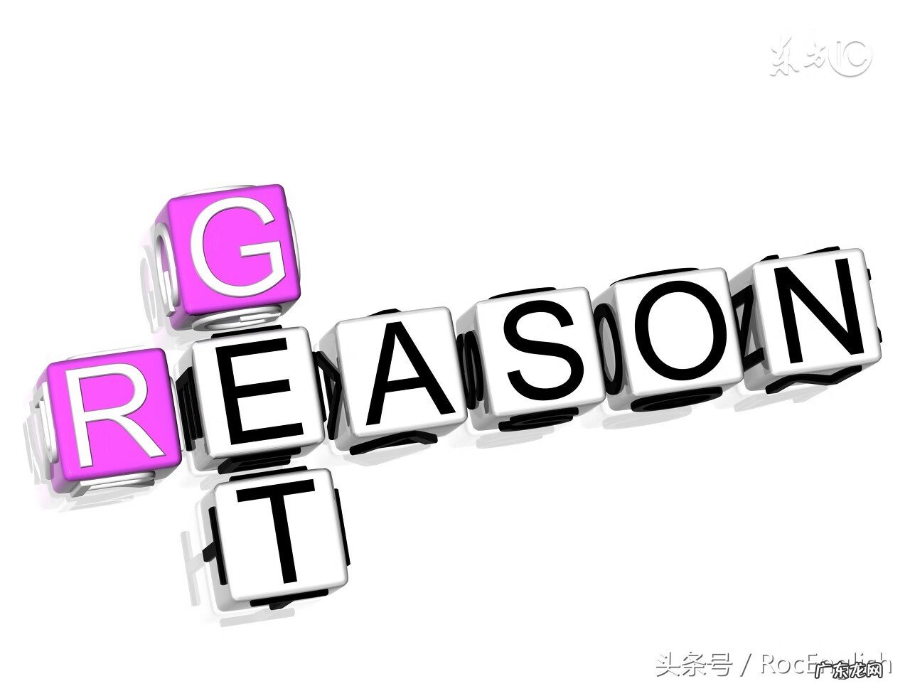 理由的英文单词 理由英语怎么说