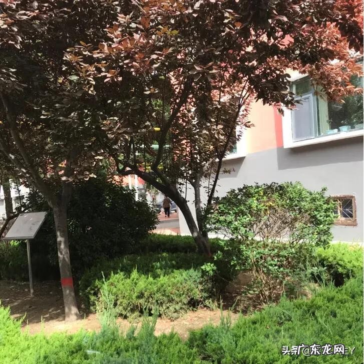 风景这边独好的意思 风景这边独好作文