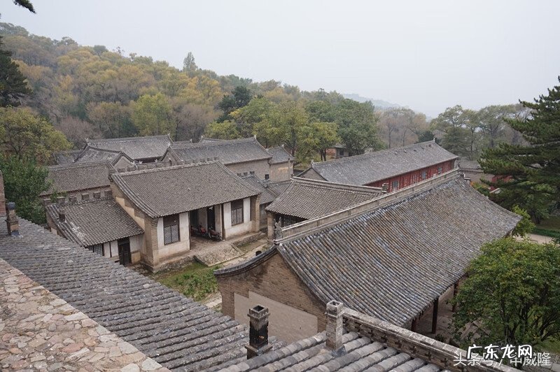 鱼花 鱼花楼在哪看