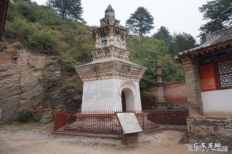 鱼花 鱼花楼在哪看