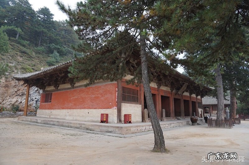 鱼花 鱼花楼在哪看