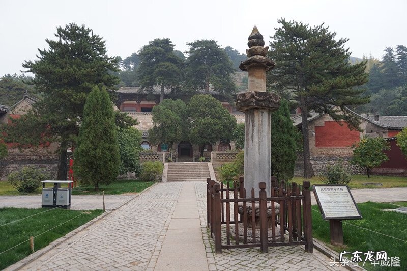 鱼花 鱼花楼在哪看