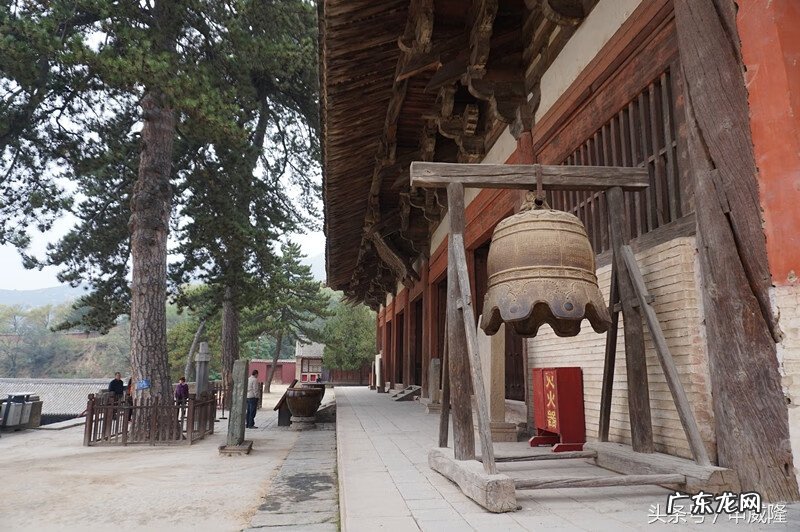 鱼花 鱼花楼在哪看