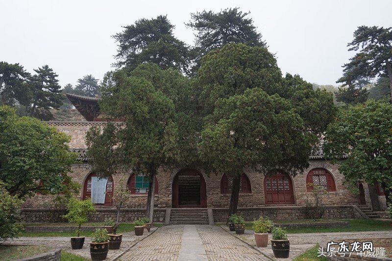 鱼花 鱼花楼在哪看