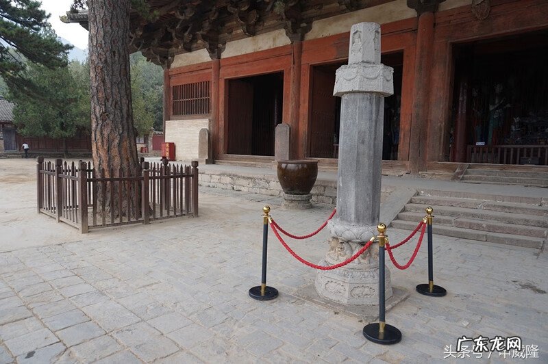 鱼花 鱼花楼在哪看