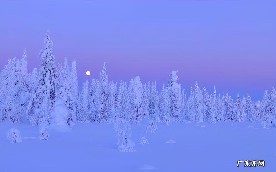 霹雳兵甲龙痕军督 霹雳兵甲龙痕下一部