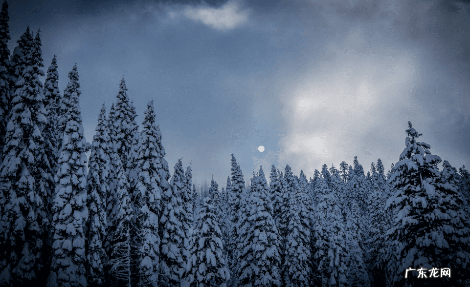 霹雳兵甲龙痕军督 霹雳兵甲龙痕下一部