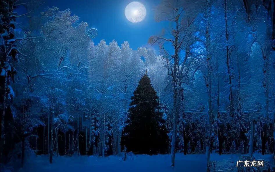 霹雳兵甲龙痕军督 霹雳兵甲龙痕下一部