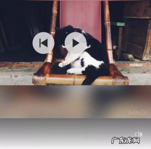 剪辑视频app哪个好用手机版 最好用的剪辑app