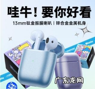 真蓝牙耳机哪个好 公牛蓝牙耳机质量好吗