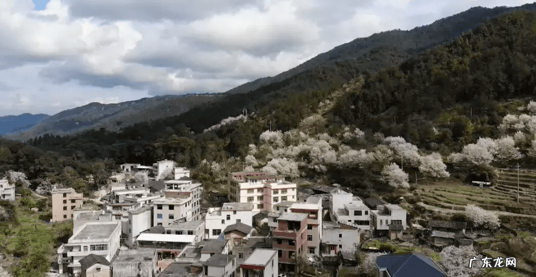 唐美希绯格 福建永定湖山漳溪唐美楼风水好吗