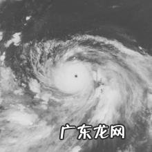 9号台风卢碧什么时候登陆 第九号台风卢碧生成了吗