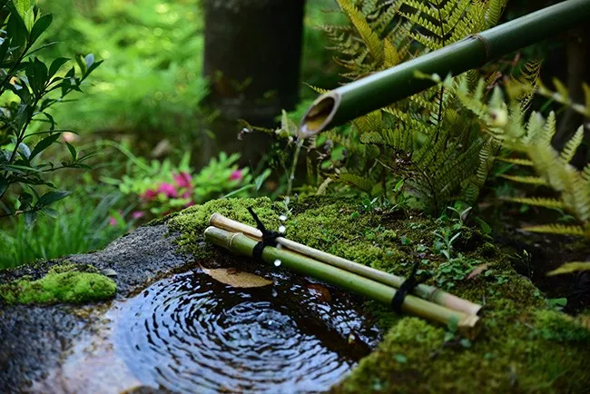 风水相信吗 人应该信风水吗