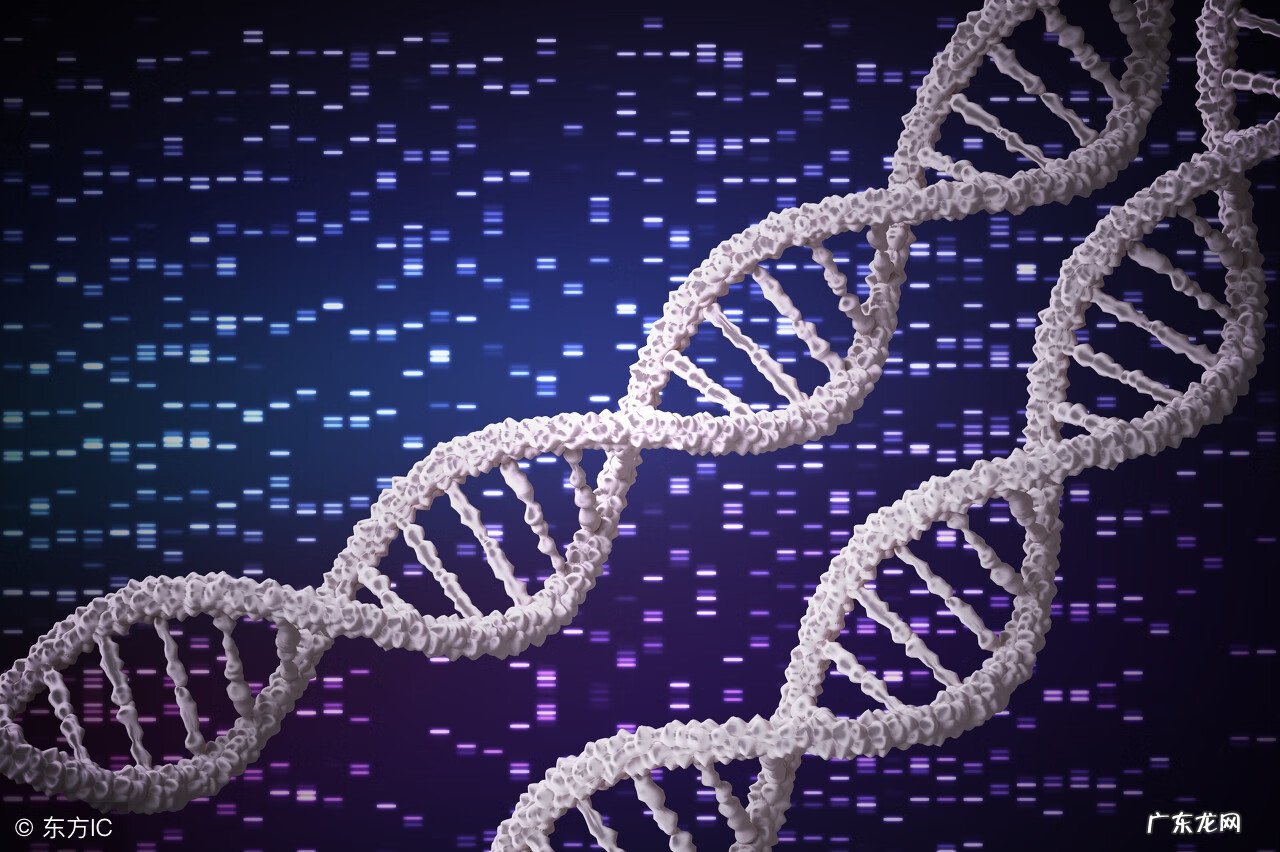 一般什么原因会导致先兆流产 出现先兆流产的原因