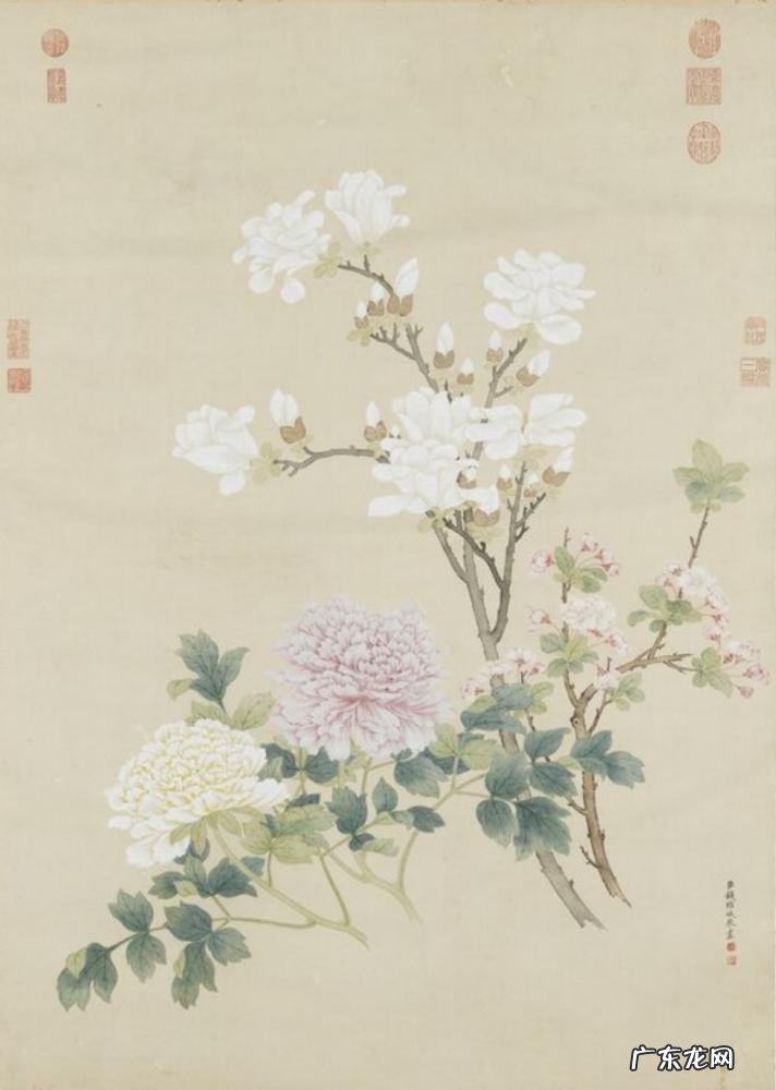 古诗江畔独步寻花的翻译 江畔独步寻花其一古诗译文