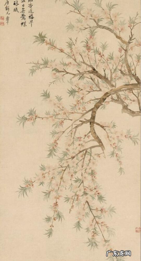 古诗江畔独步寻花的翻译 江畔独步寻花其一古诗译文