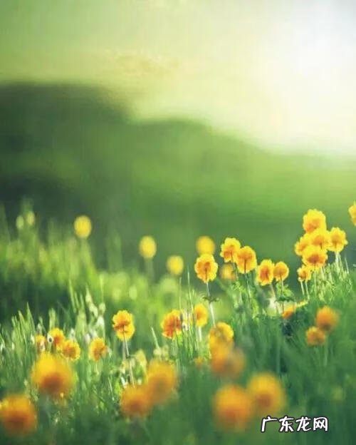 说明文的说明方法及例子 说明文的说明方法有哪些