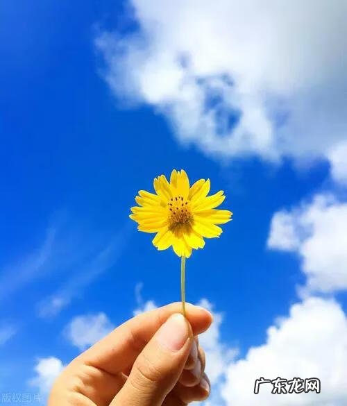 说明文的说明方法及例子 说明文的说明方法有哪些