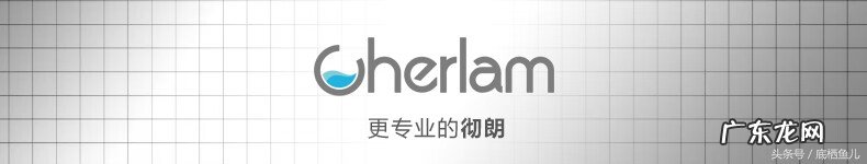 鱼缸内如何养清道夫鱼 只养清道夫有什么说法吗