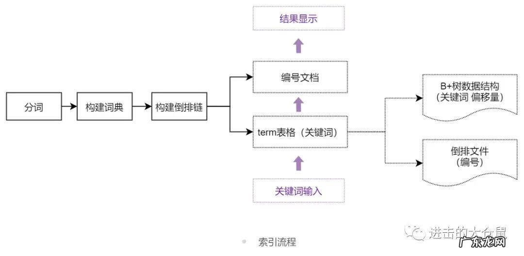 字母找单词 单词搜索
