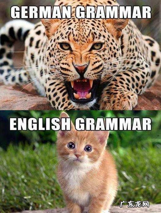 高考德语教材 德语入门教材答案