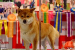 洋县中学优秀教师 洋县中学全称