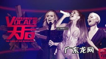 Main Vocal担当 vocal是什么意思中文翻译是什么意思啊了