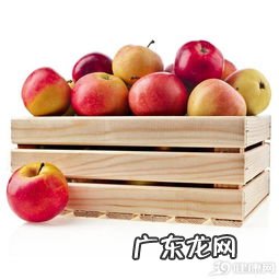 糖分低的减肥水果有哪些 减肥低糖分的水果排名