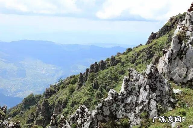 狮子在风水上起什么作用 金阳大狮子风水如何