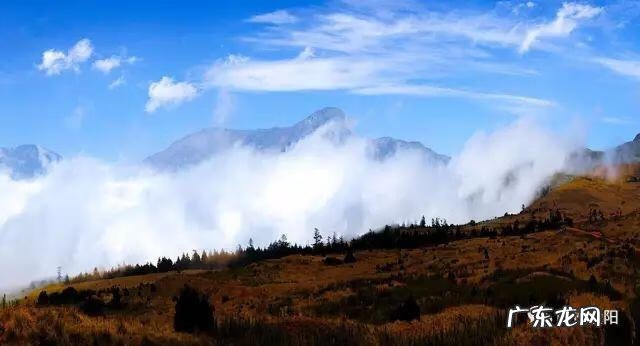 狮子在风水上起什么作用 金阳大狮子风水如何