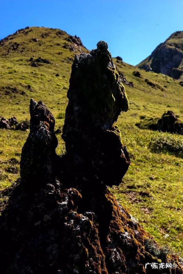 狮子在风水上起什么作用 金阳大狮子风水如何