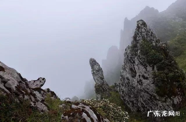 狮子在风水上起什么作用 金阳大狮子风水如何