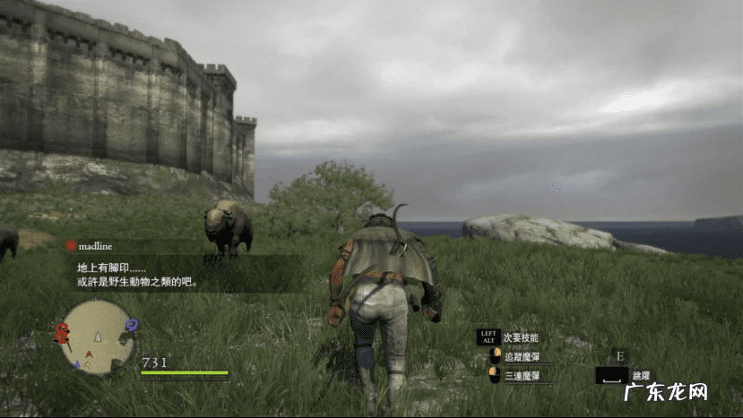 魔兽世界正式服日常任务 魔兽世界日常任务是什么