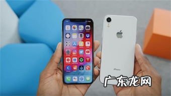 iphonex和xs哪个值得入手 苹果x和xs外观有啥区别