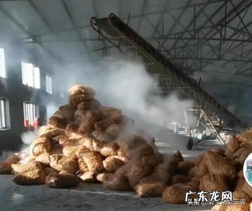 最热门的小型加工厂 小型加工厂项目