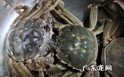 活螃蟹的储存方法 螃蟹活的怎么保存在冰箱