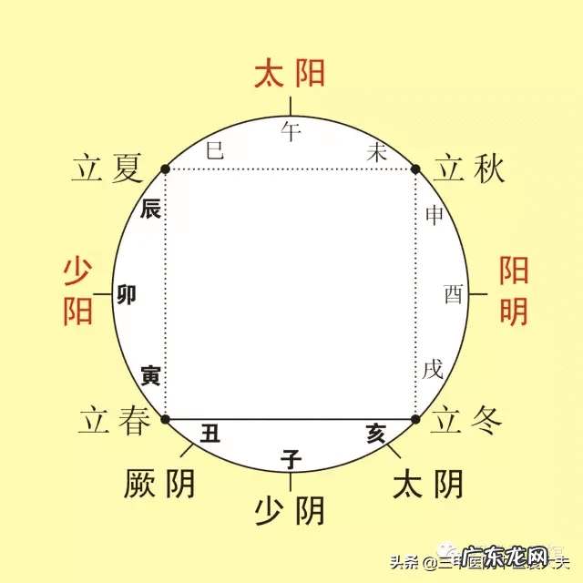 中医针灸人体模型品牌 中医人体模型图片