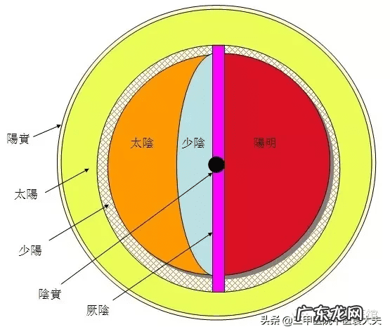 中医针灸人体模型品牌 中医人体模型图片