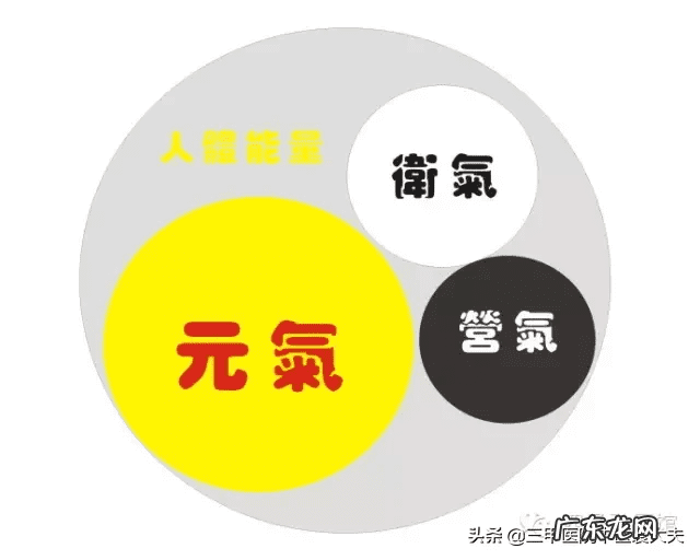 中医针灸人体模型品牌 中医人体模型图片